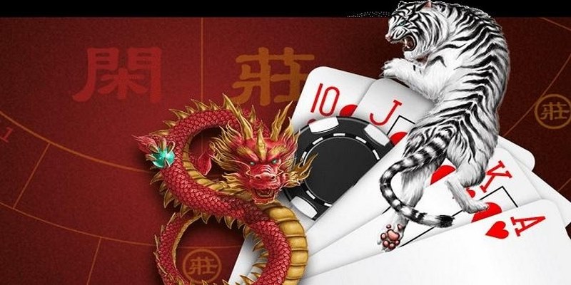 Giao diện game bài Rồng Hổ hiện đại, thao tác mượt mà trên Dabet