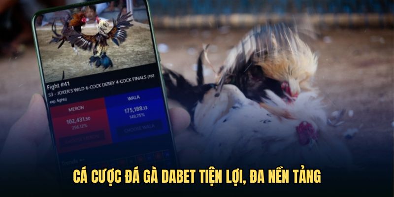 Cá cược đá gà tiện lợi, đa nền tảng